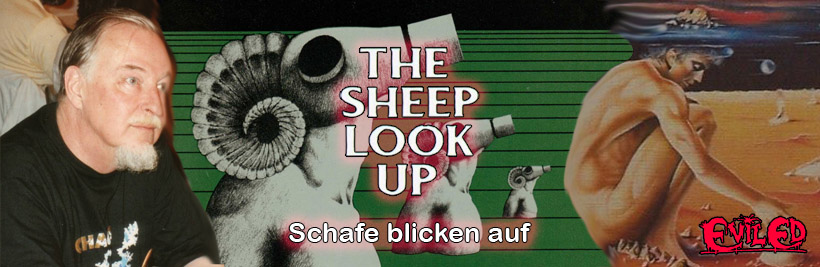sheep quer