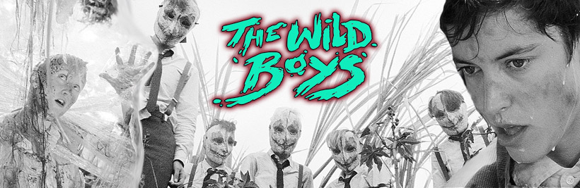 boysquer