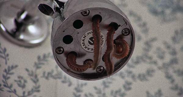 squirm 006